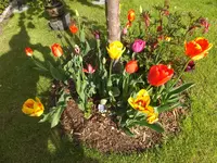 DSCF9216.webp