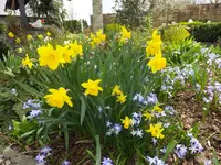 DSCF9071.webp