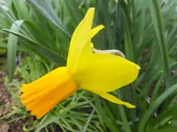 DSCF9082.webp