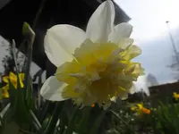 DSCF9078.webp