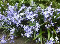 DSCF9091.webp