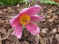 DSCF9092.webp