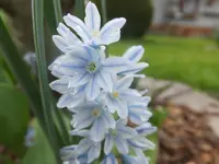 DSCF9101.webp