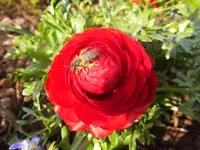 DSCF9153.webp