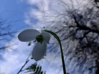 026.webp