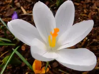 012.webp