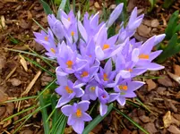 027.webp
