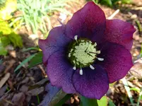 DSCF9204.webp