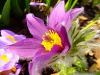 DSCF9255.webp