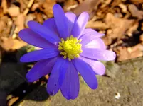 DSCF9263.webp