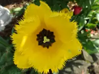 029.webp
