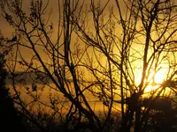 DSCF9159.webp