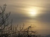 DSCF9168.webp