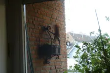 Eichhorn im Abgang.webp