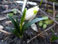 P1020951.webp