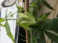 DSCF9188.webp