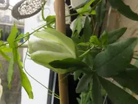 DSCF9189.jpg