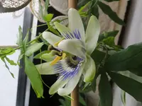 DSCF9192.webp