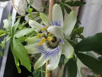 DSCF9198.webp