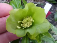 P1030026.webp