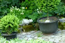 DSCF1699.webp