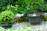 DSCF1699.jpg