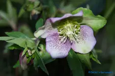 comp_DSC04547.webp
