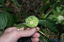 comp_DSC04549.webp