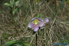 comp_DSC04550.webp