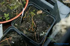 comp_DSC04554.webp