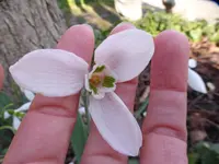 P1020700.webp
