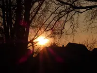 P1020496.webp