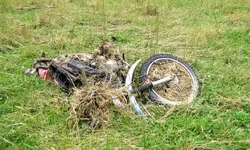 Januar 2011 044 v.webp