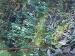 DSCN3508.jpg
