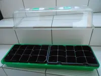 DSCN3516.webp