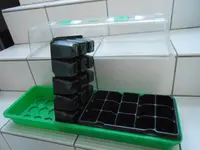 DSCN3517.webp