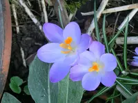 CIMG1781.webp