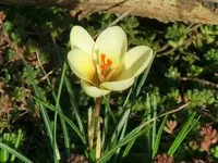 CIMG1784.webp