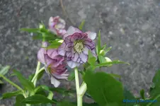 comp_DSC04557.webp
