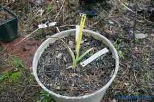 comp_DSC04558.webp