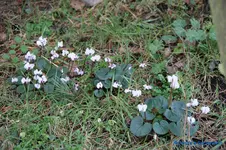 comp_DSC04561.webp