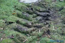 comp_DSC04566.webp