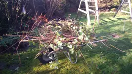 IMG-20160206-WA0003.webp