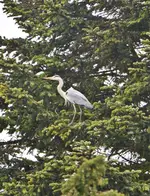 DSC_6468.webp