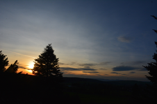 DSC_6503.webp