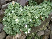 SAM_0719.webp