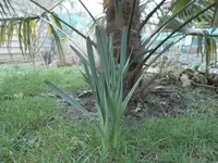 SAM_0721.webp