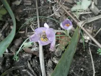 SAM_0722.webp