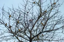 DSCF5259 (2).webp