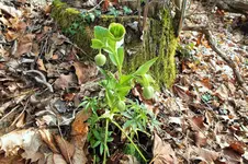 DSCF5311 (2).webp